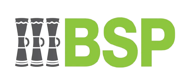 BSP logo